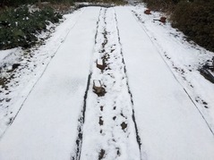 PXL_20220217_230230953.MP