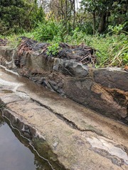 PXL_20240404_033204940