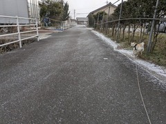 PXL_20250204_224850606.MP