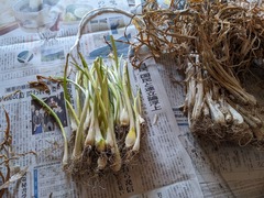 PXL_20230916_003948943