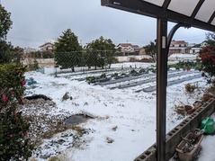 PXL_20221222_234130807