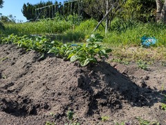 PXL_20250507_070155887