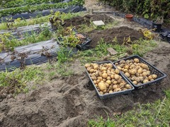 PXL_20230613_004826957