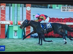 PXL_20241222_102642666.MP