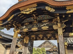 PXL_20231123_005817393