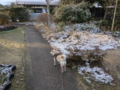 PXL_20250219_224656583