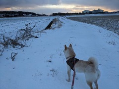 PXL_20240124_223229679