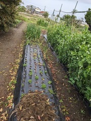 PXL_20230419_222820403