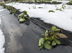 PXL_20230126_070038407