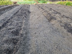 PXL_20251014_225951619