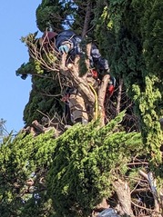 PXL_20230303_005426147