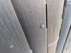 PXL_20220127_232933687.MP