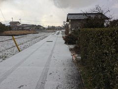 PXL_20250205_225630392