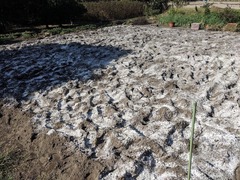 PXL_20241011_002130613