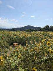 PXL_20240812_052755371