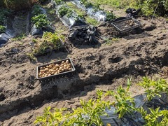 PXL_20240611_231032320