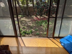 PXL_20230413_052231101