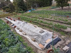 PXL_20211224_232020362