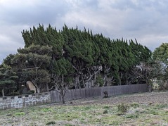 PXL_20230301_231852775