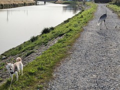 PXL_20240415_223206988