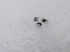 PXL_20230124_231446494.NIGHT