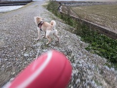 PXL_20231220_221937754