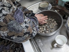 PXL_20231230_021415209.MP