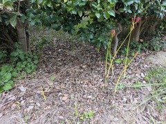 PXL_20250920_041843755.MP