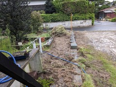 PXL_20241002_052804615