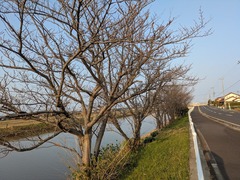 PXL_20260326_221056394