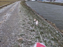 PXL_20231222_074158866