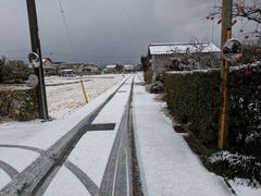 PXL_20260102_032440667