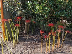 PXL_20240930_233705223