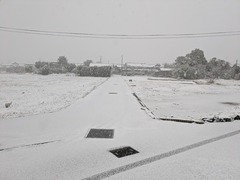 PXL_20260120_224442492.MP