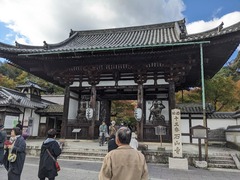 PXL_20241118_013232107