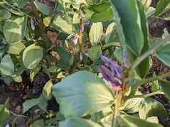 PXL_20230410_215343552