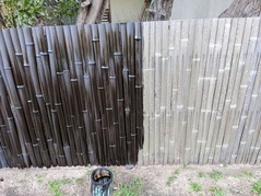 PXL_20220127_232917542.MP