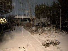 PXL_20250208_113124825.NIGHT