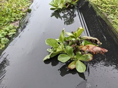 PXL_20230210_011940540