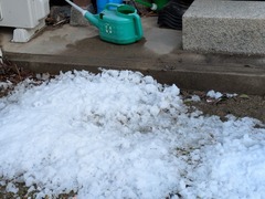 PXL_20250318_231217204