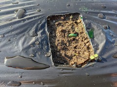 PXL_20221102_232015115.MP