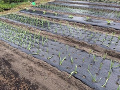 PXL_20231110_232016841