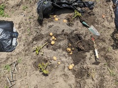 PXL_20240610_040152817