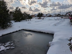 PXL_20260208_071009472.MP