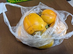 PXL_20231103_002634787