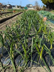 PXL_20250214_015929054