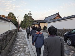 PXL_20231122_214750404