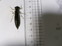 PXL_20250909_013256698