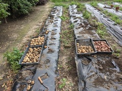 PXL_20210710_021803576