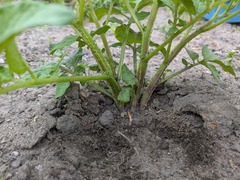 PXL_20250427_224040195